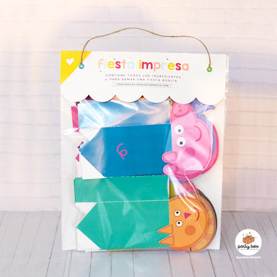 Cajitas para cumpleaños / Peppa Pig